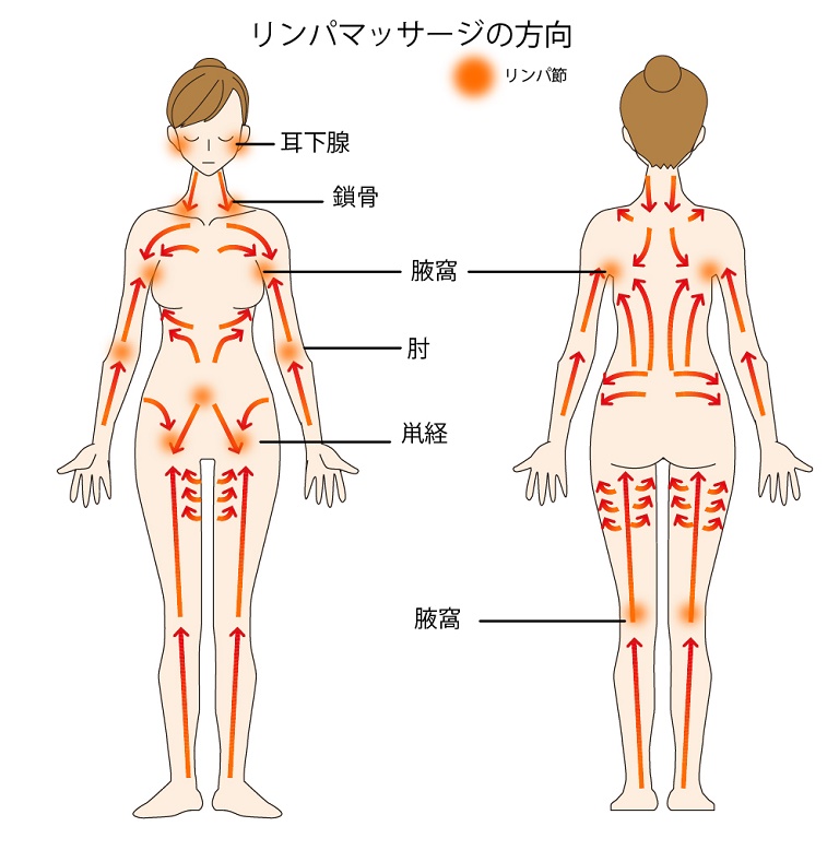 リンパトリートメントとはマッサージと何が違うか Andona 美容ブログ