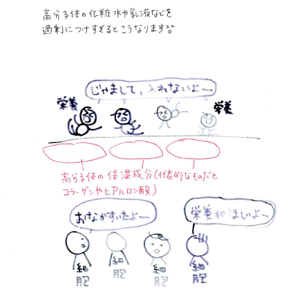 10日間の肌質改善 アコライムは何故短期間でニキビ肌を改善できるのか Andona 美容ブログ